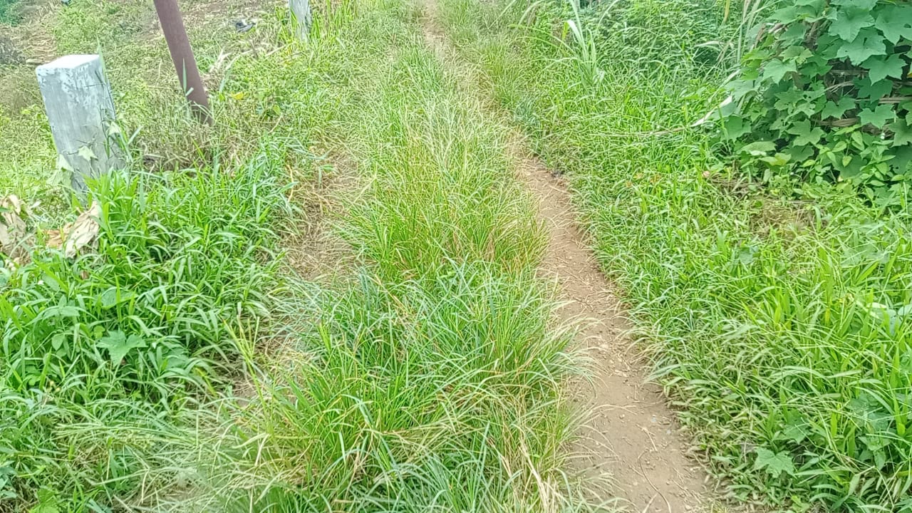 Akses Jalan Menuju Gereja di Pancur Batu Luput dari Perhatian Pemerintah