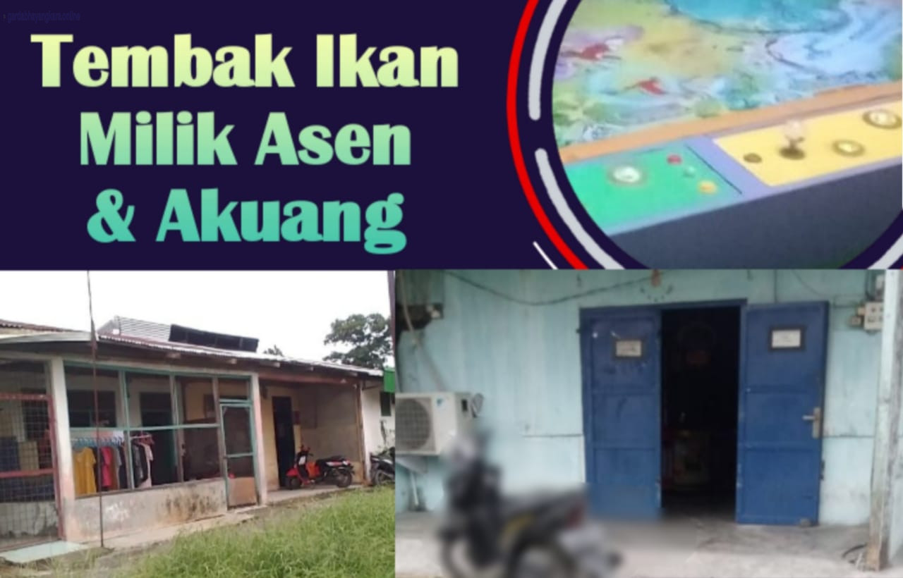 Asen dan Akuang Kuasai Judi Tembak Ikan di Rengas Pulau